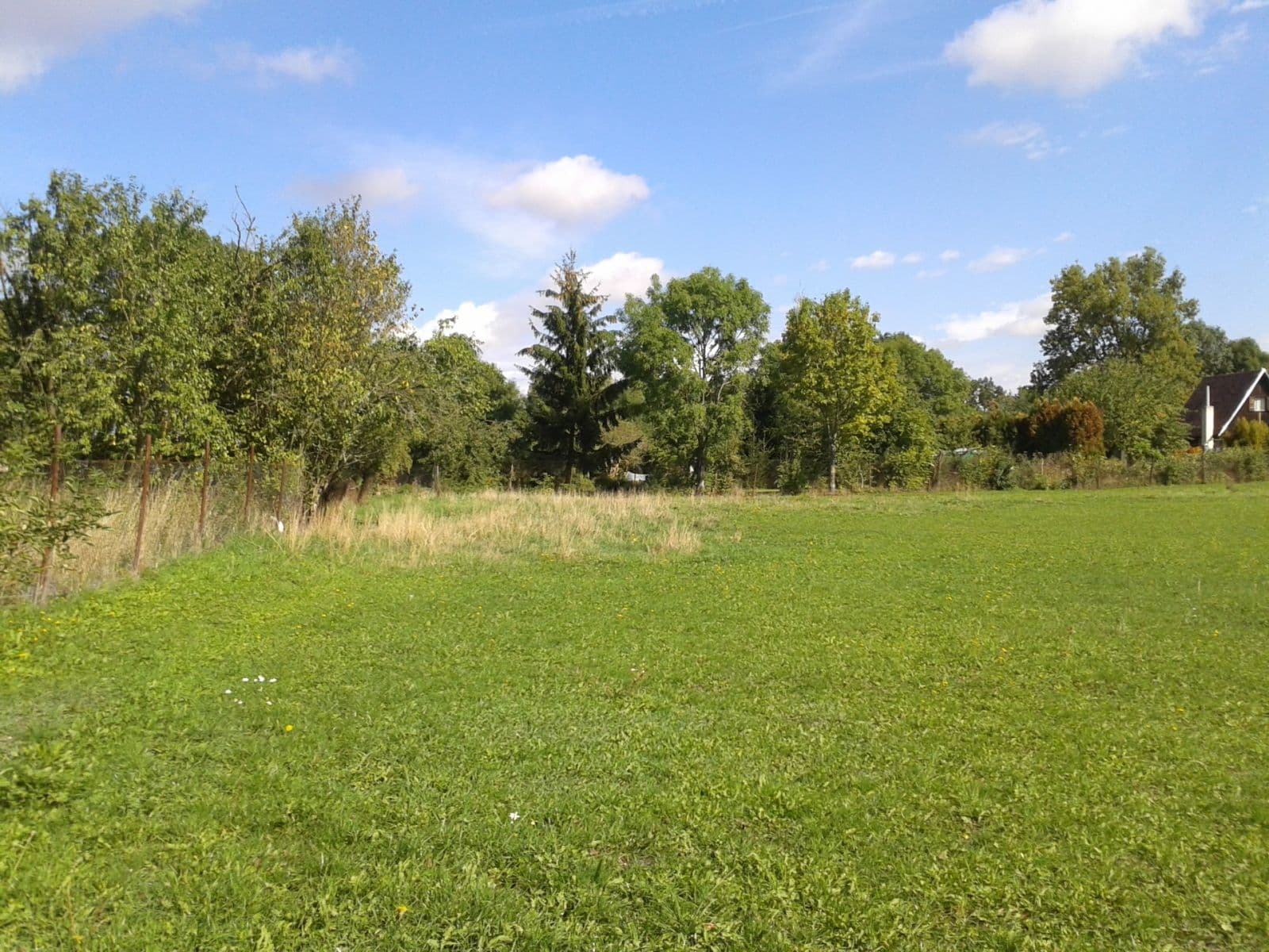 Pronájem pozemku 1.555 m², Městec Králové, Středočeský kraj Pronájem pozemku 1.555 m², Městec Králové, Středočeský kraj