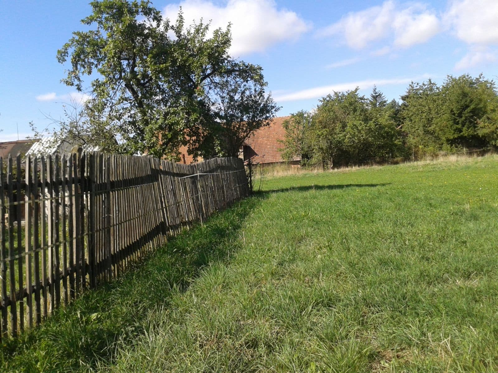 Pronájem pozemku 1.555 m², Městec Králové, Středočeský kraj Pronájem pozemku 1.555 m², Městec Králové, Středočeský kraj