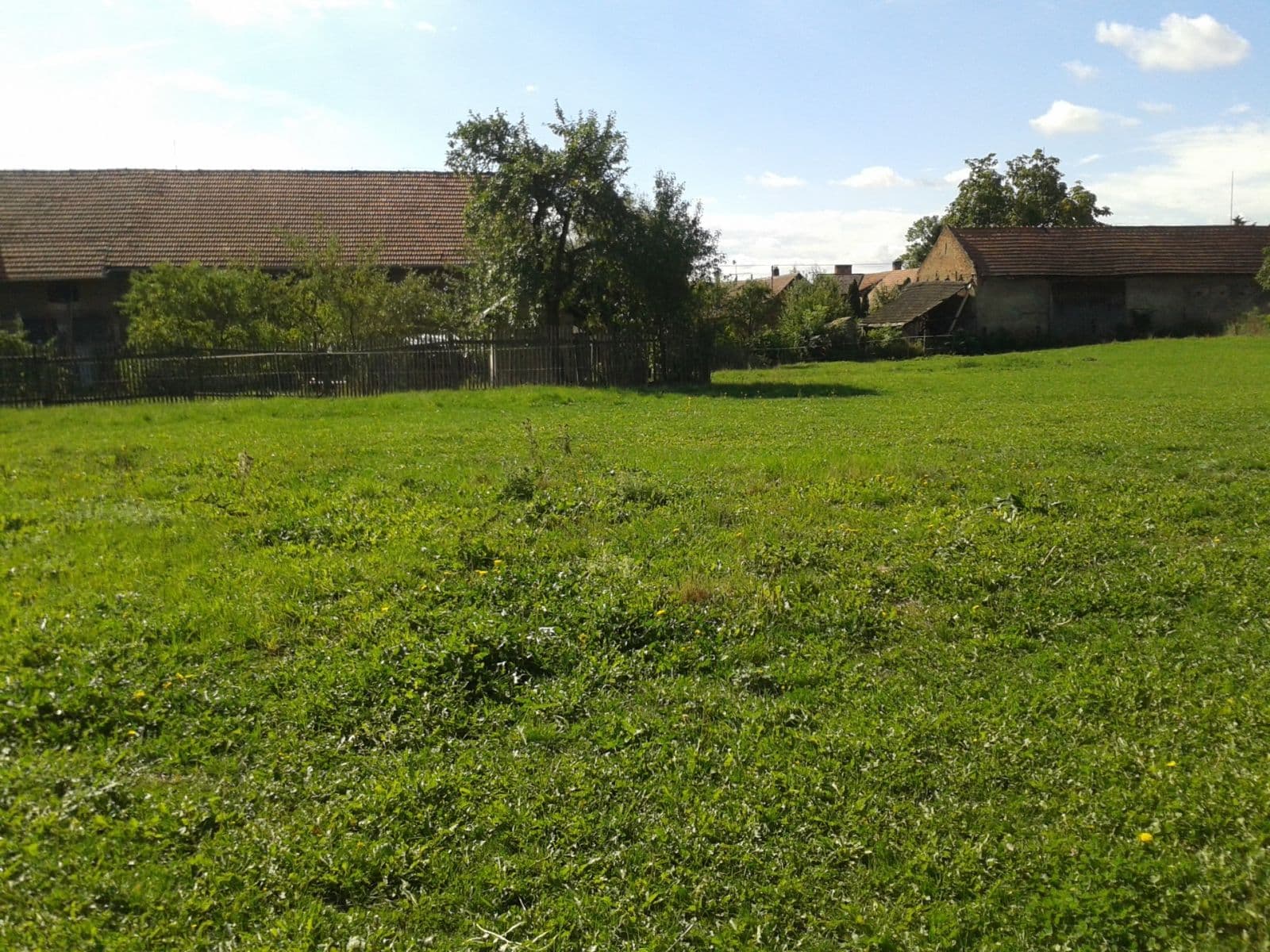 Pronájem pozemku 1.555 m², Městec Králové, Středočeský kraj Pronájem pozemku 1.555 m², Městec Králové, Středočeský kraj