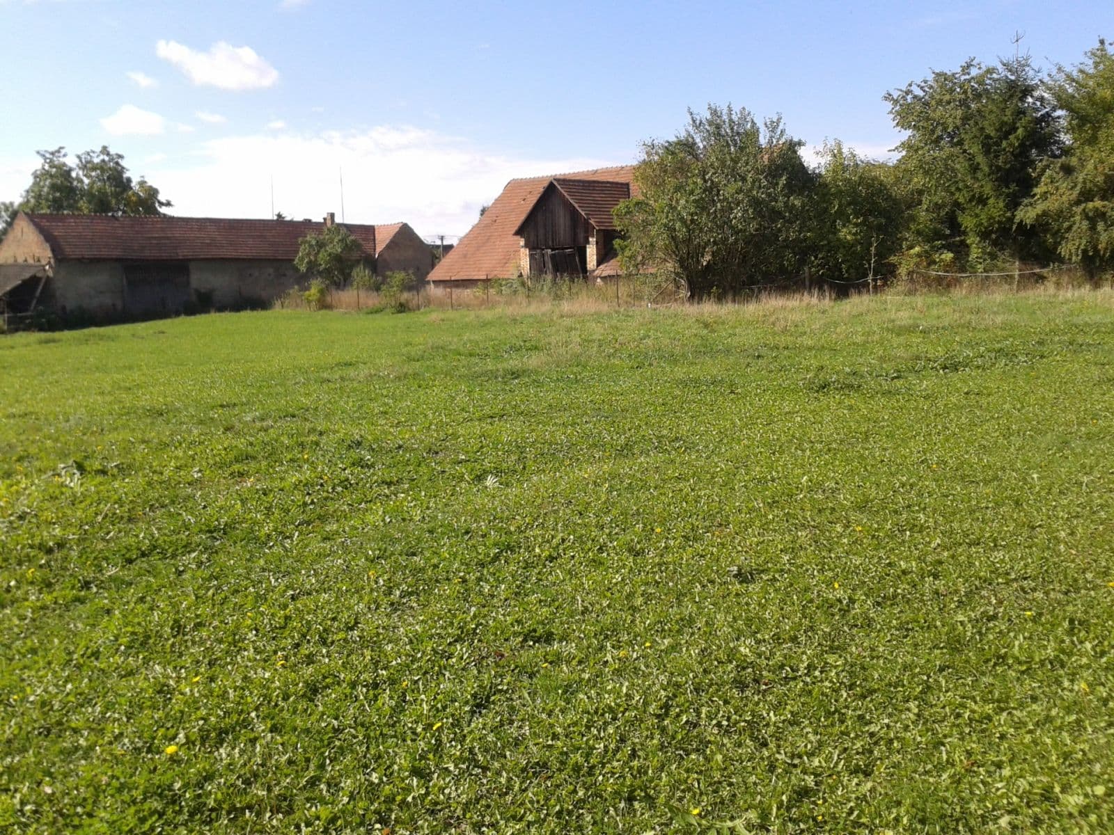 Pronájem pozemku 1.555 m², Městec Králové, Středočeský kraj Pronájem pozemku 1.555 m², Městec Králové, Středočeský kraj