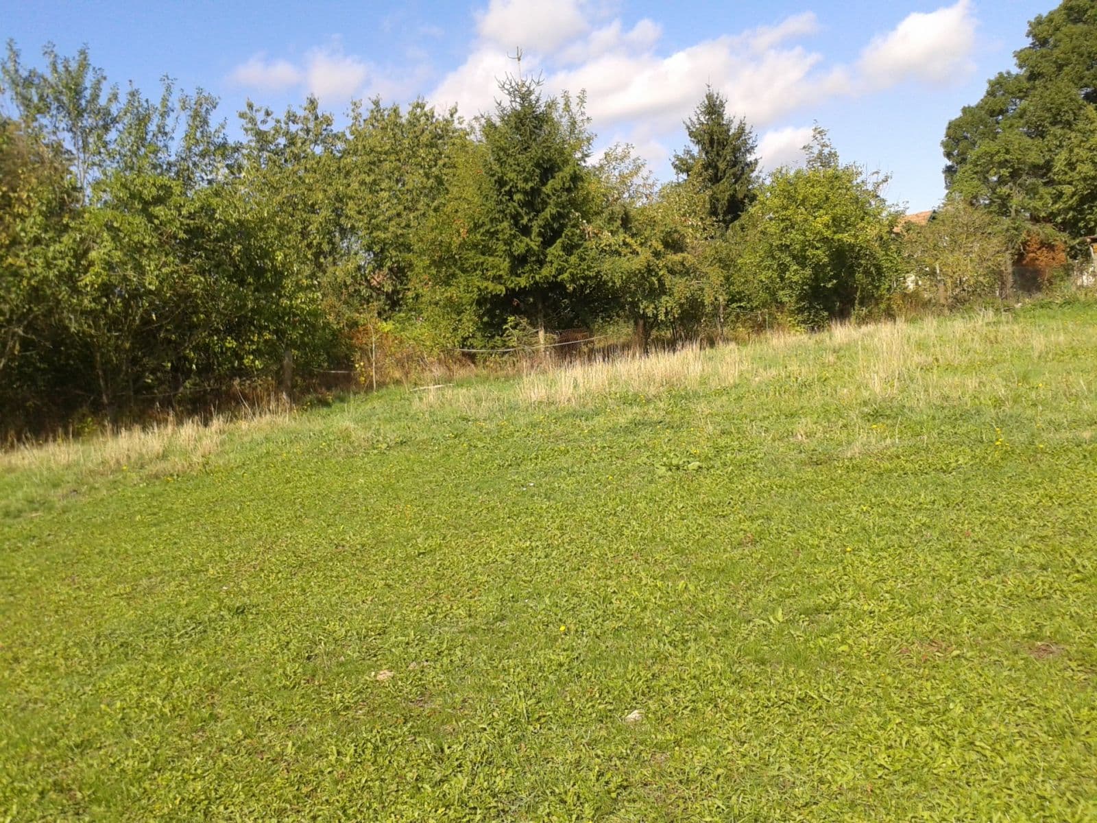 Pronájem pozemku 1.555 m², Městec Králové, Středočeský kraj Pronájem pozemku 1.555 m², Městec Králové, Středočeský kraj