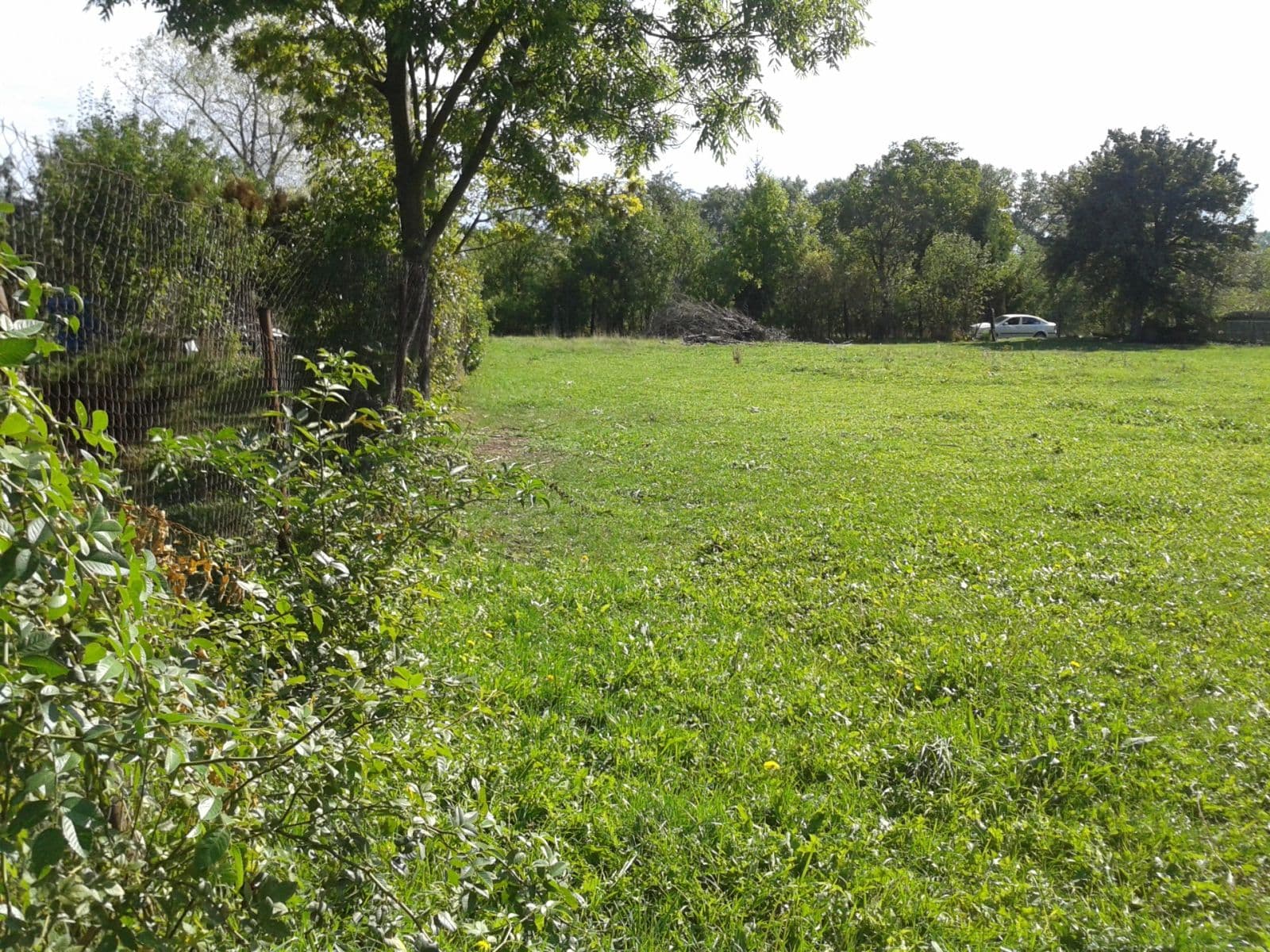 Pronájem pozemku 1.555 m², Městec Králové, Středočeský kraj Pronájem pozemku 1.555 m², Městec Králové, Středočeský kraj