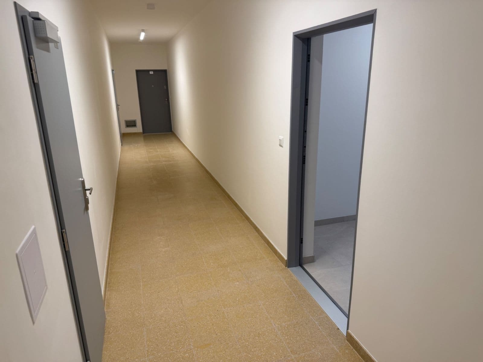 Pronájem bytu 2+kk 50 m², Řepova, Brno, Jihomoravský kraj Pronájem bytu 2+kk 50 m², Řepova, Brno, Jihomoravský kraj