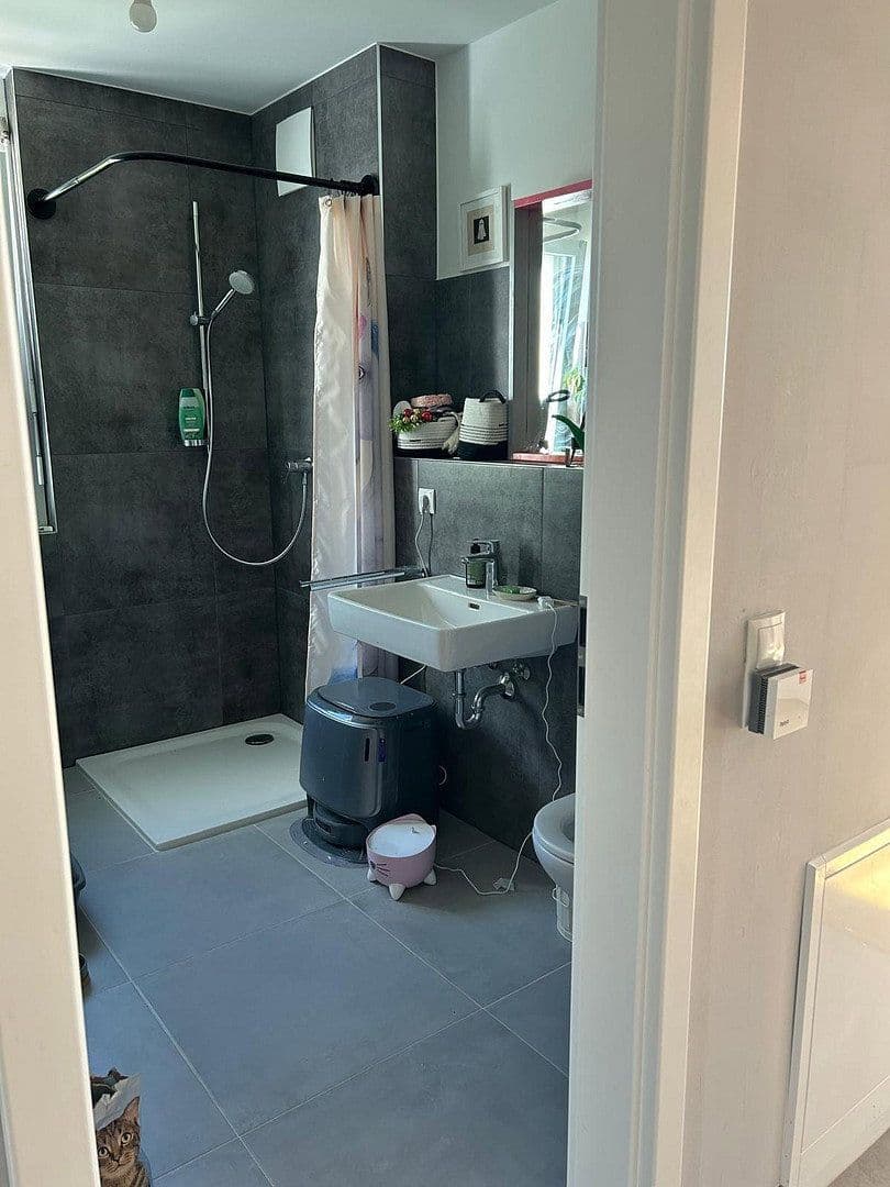Pronájem domu 135 m², pozemek 493 m², Bad Bellingen, Bádensko-Württembersko Pronájem domu 135 m², pozemek 493 m², Bad Bellingen, Bádensko-Württembersko