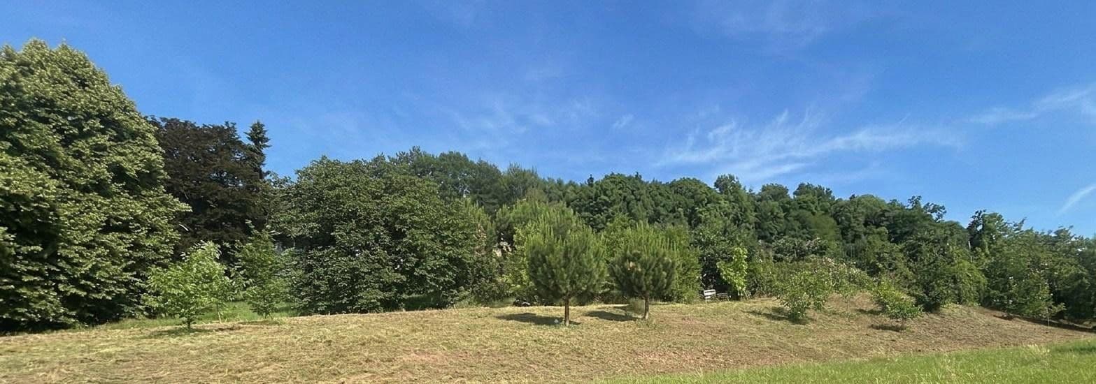 Prodej domu 180 m², pozemek 1.952 m², Gaggenau, Bádensko-Württembersko Prodej domu 180 m², pozemek 1.952 m², Gaggenau, Bádensko-Württembersko