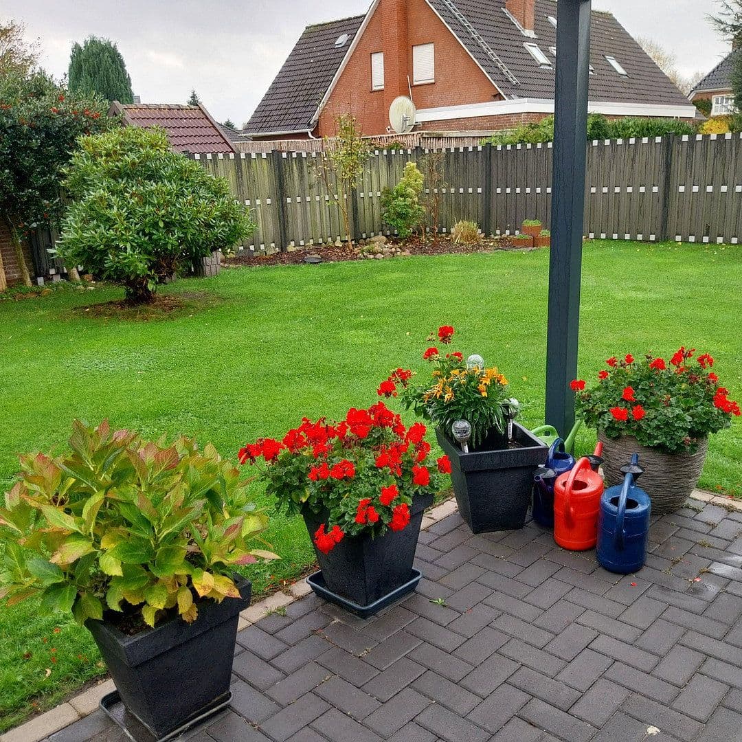 Prodej domu 185 m², pozemek 840 m², Norden, Dolní Sasko Prodej domu 185 m², pozemek 840 m², Norden, Dolní Sasko