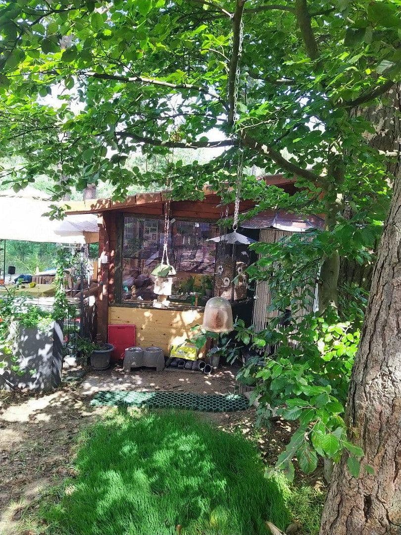 Prodej domu 47 m², pozemek 300 m², Fürstenberg/Havel, Braniborsko Prodej domu 47 m², pozemek 300 m², Fürstenberg/Havel, Braniborsko