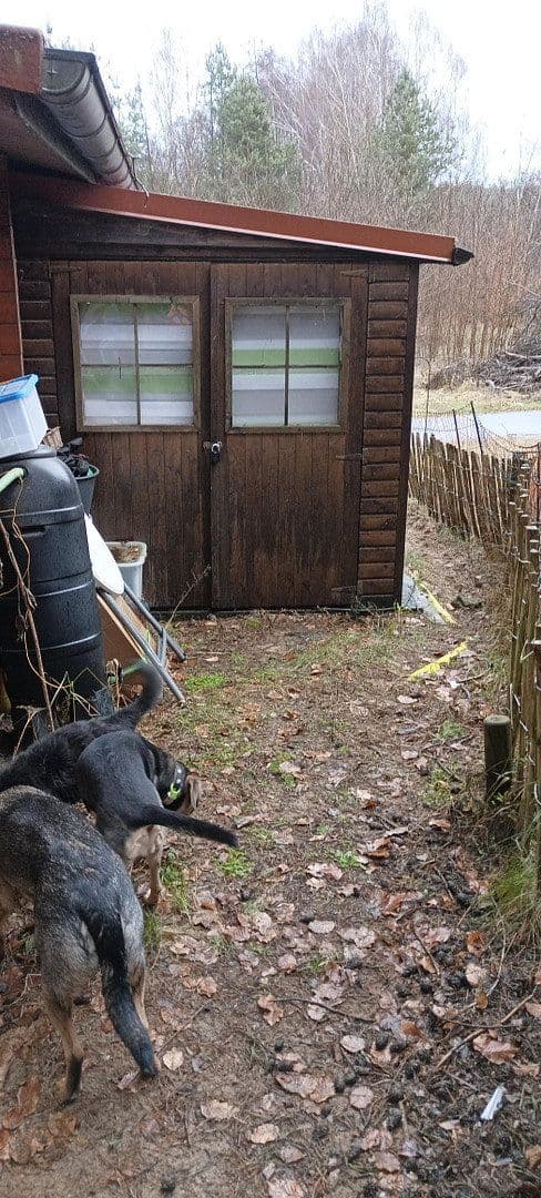 Prodej domu 47 m², pozemek 300 m², Fürstenberg/Havel, Braniborsko Prodej domu 47 m², pozemek 300 m², Fürstenberg/Havel, Braniborsko