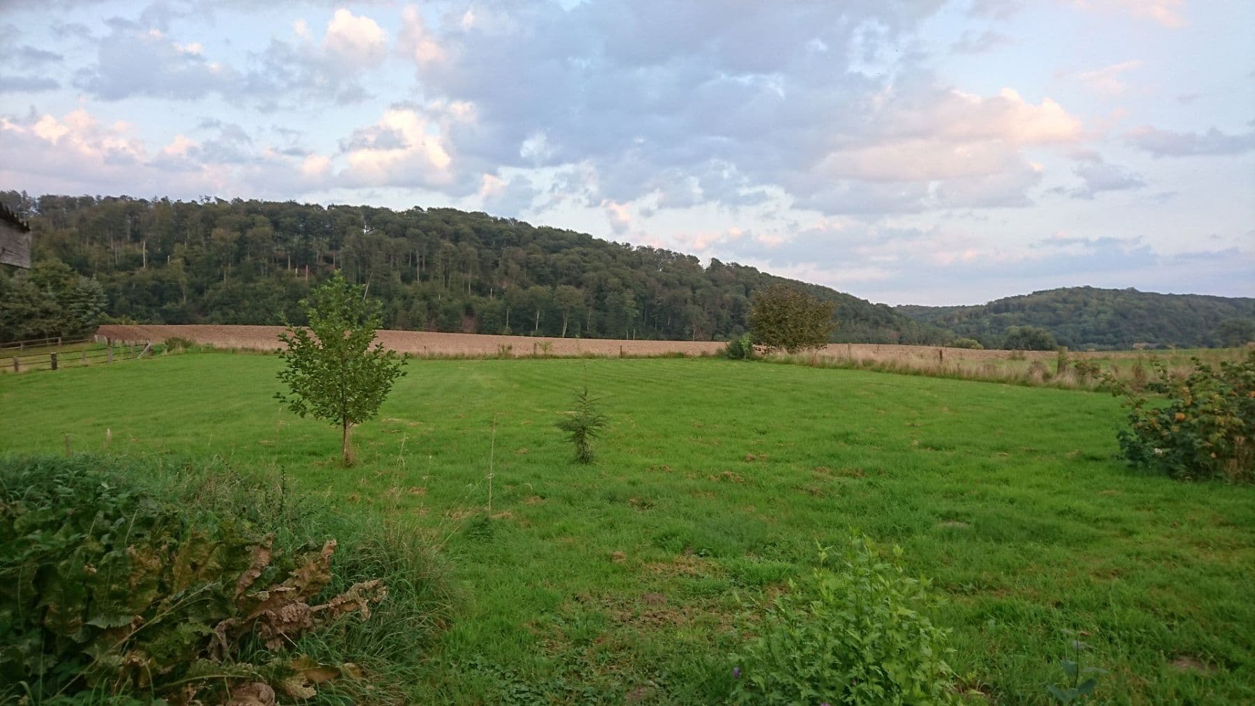 Prodej domu 390 m², pozemek 5.550 m², Alfeld (Leine), Dolní Sasko Prodej domu 390 m², pozemek 5.550 m², Alfeld (Leine), Dolní Sasko