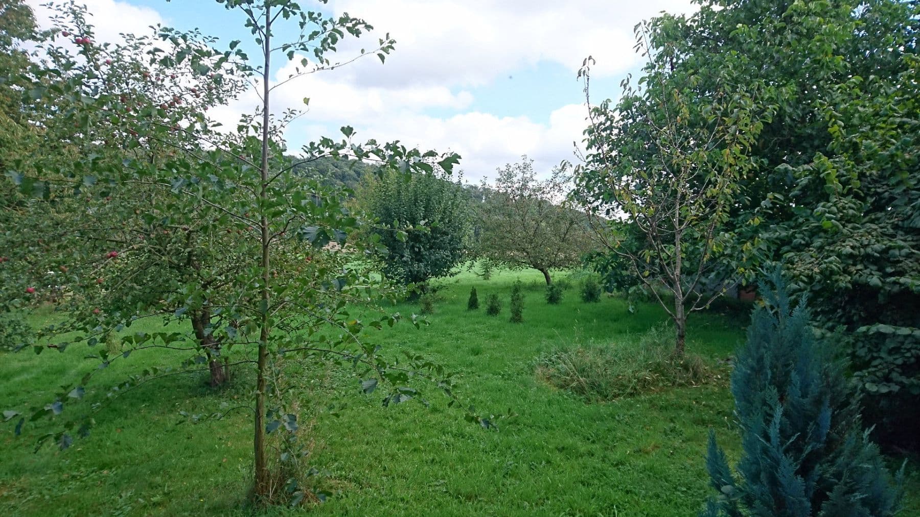 Prodej domu 390 m², pozemek 5.550 m², Alfeld (Leine), Dolní Sasko Prodej domu 390 m², pozemek 5.550 m², Alfeld (Leine), Dolní Sasko
