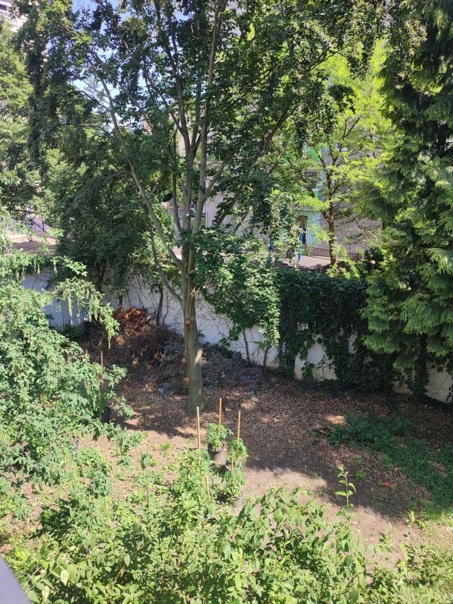 Prodej bytu 2+kk 50 m², Hronovická, Pardubice, Pardubický kraj Prodej bytu 2+kk 50 m², Hronovická, Pardubice, Pardubický kraj
