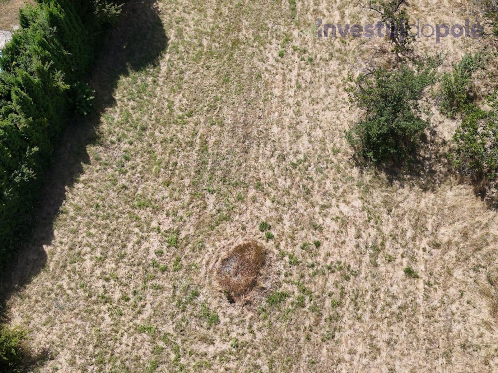 Prodej pozemku 2.428 m², Vojkovice, Jihomoravský kraj Prodej pozemku 2.428 m², Vojkovice, Jihomoravský kraj