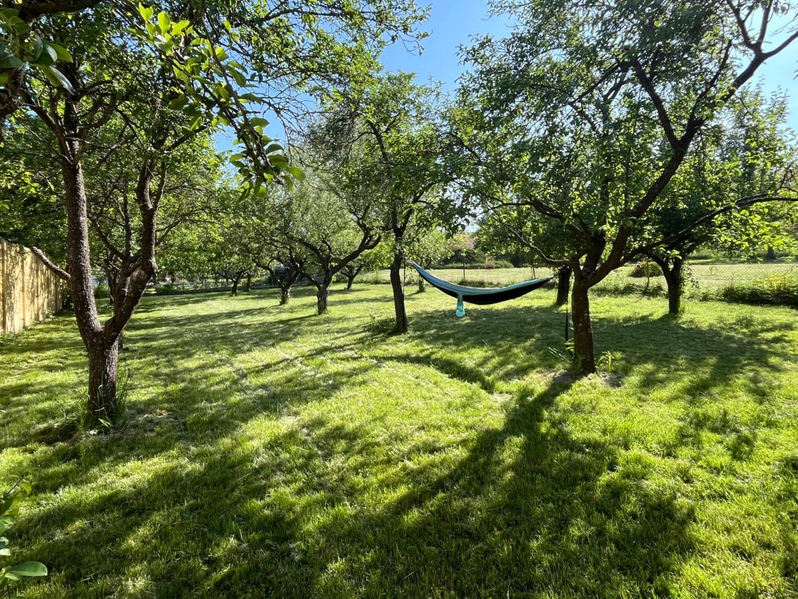Prodej chaty, chalupy 160 m², pozemek 1.550 m², Podhradí nad Dyjí, Jihomoravský kraj Prodej chaty, chalupy 160 m², pozemek 1.550 m², Podhradí nad Dyjí, Jihomoravský kraj