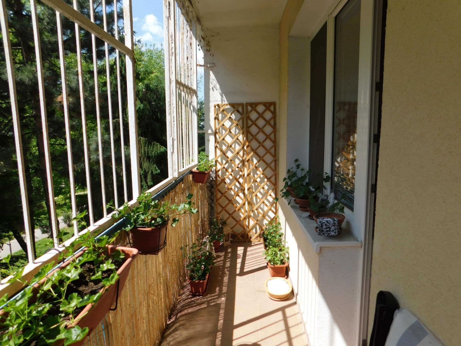 Pronájem bytu 2+1 50 m², Astrová, Ružinov, Bratislavský kraj Pronájem bytu 2+1 50 m², Astrová, Ružinov, Bratislavský kraj
