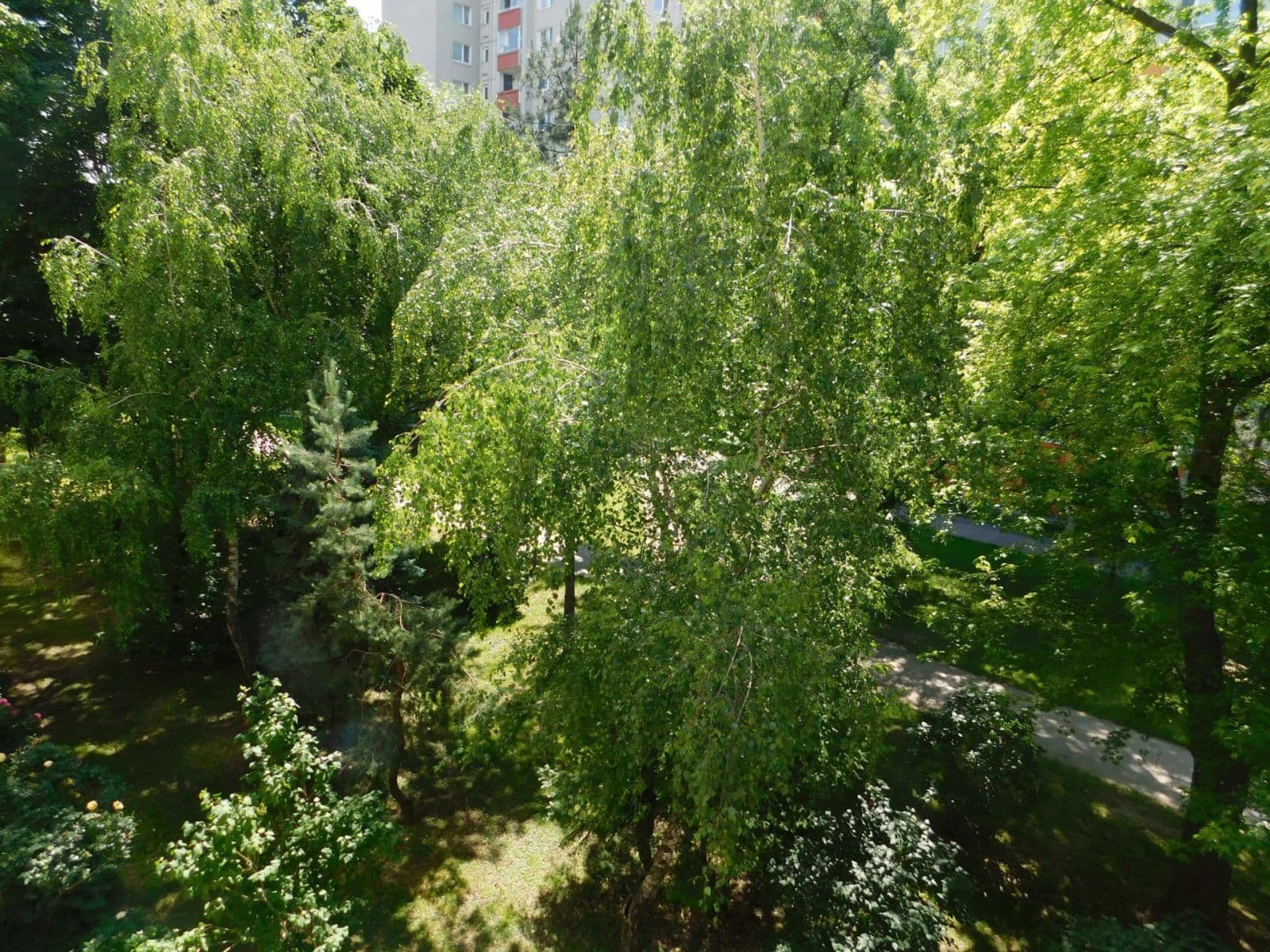 Pronájem bytu 2+1 50 m², Astrová, Ružinov, Bratislavský kraj Pronájem bytu 2+1 50 m², Astrová, Ružinov, Bratislavský kraj