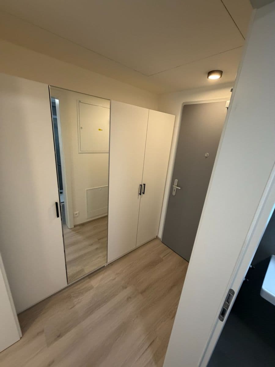 Pronájem bytu 1+kk 31 m², Bystrcká, Brno, Jihomoravský kraj Pronájem bytu 1+kk 31 m², Bystrcká, Brno, Jihomoravský kraj