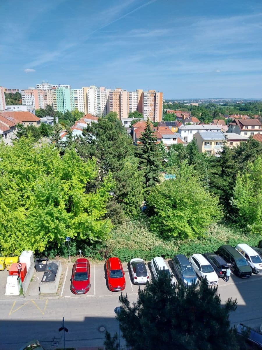 Pronájem bytu 1+kk 32 m², Souhrady, Brno, Jihomoravský kraj Pronájem bytu 1+kk 32 m², Souhrady, Brno, Jihomoravský kraj