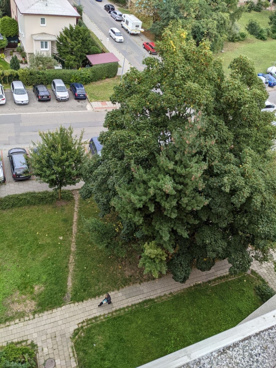 Pronájem bytu 2+1 57 m², kpt. Jaroše, Olomouc, Olomoucký kraj Pronájem bytu 2+1 57 m², kpt. Jaroše, Olomouc, Olomoucký kraj