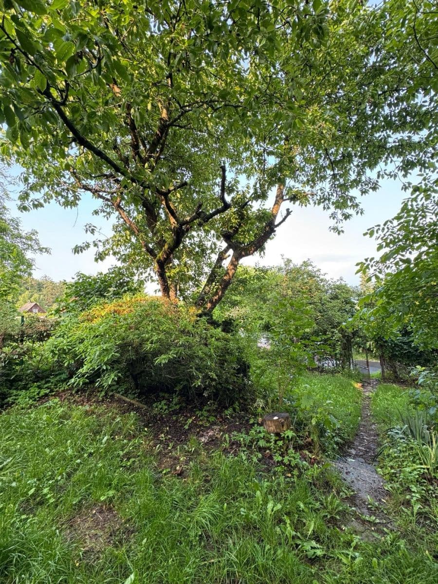 Prodej pozemku 304 m², Černolice, Středočeský kraj Prodej pozemku 304 m², Černolice, Středočeský kraj