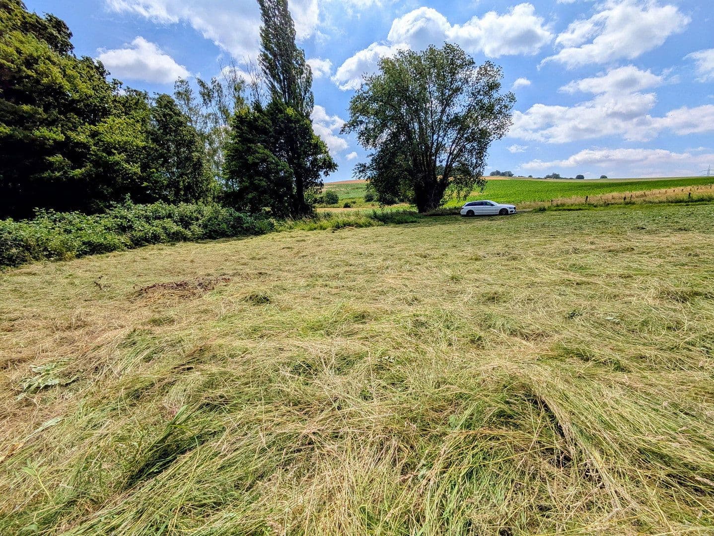 Prodej pozemku 9.037 m², Rodenberg, Dolní Sasko Prodej pozemku 9.037 m², Rodenberg, Dolní Sasko