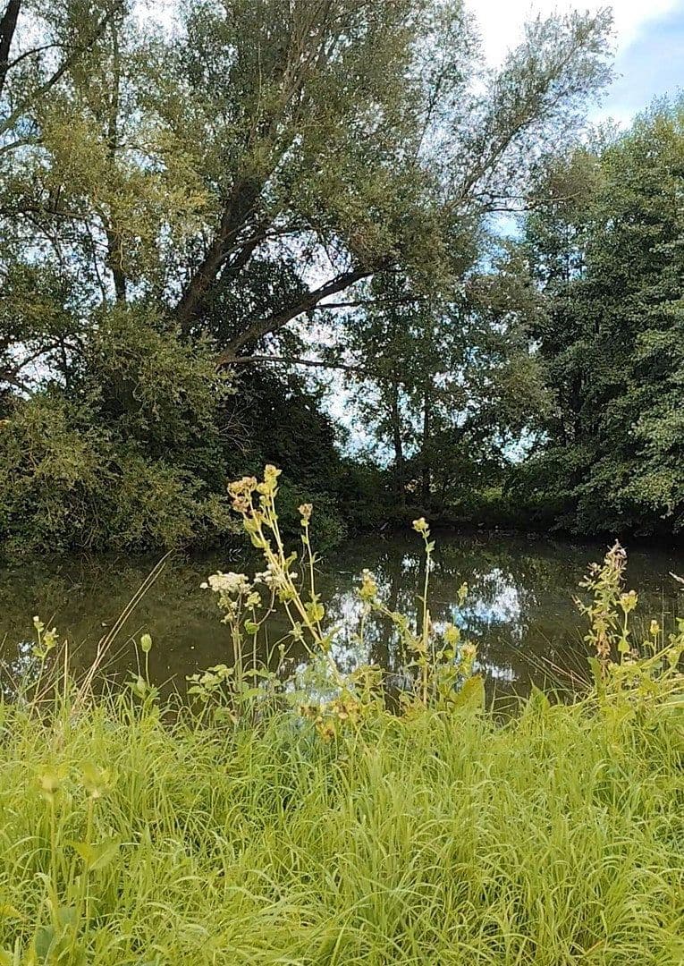 Prodej pozemku 9.037 m², Rodenberg, Dolní Sasko Prodej pozemku 9.037 m², Rodenberg, Dolní Sasko
