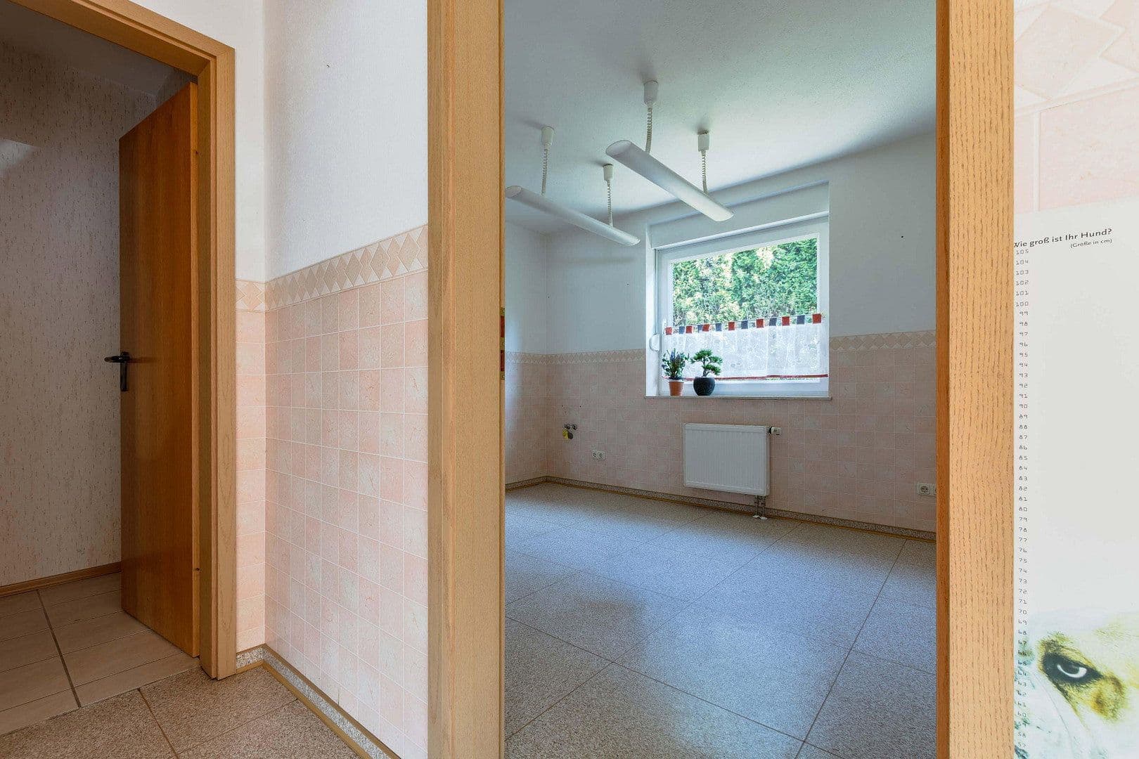Prodej domu 187 m², pozemek 602 m², Am Köhlerberg 20, Sassnitz, Mecklenburg-Vorpommern Prodej domu 187 m², pozemek 602 m², Am Köhlerberg 20, Sassnitz, Mecklenburg-Vorpommern