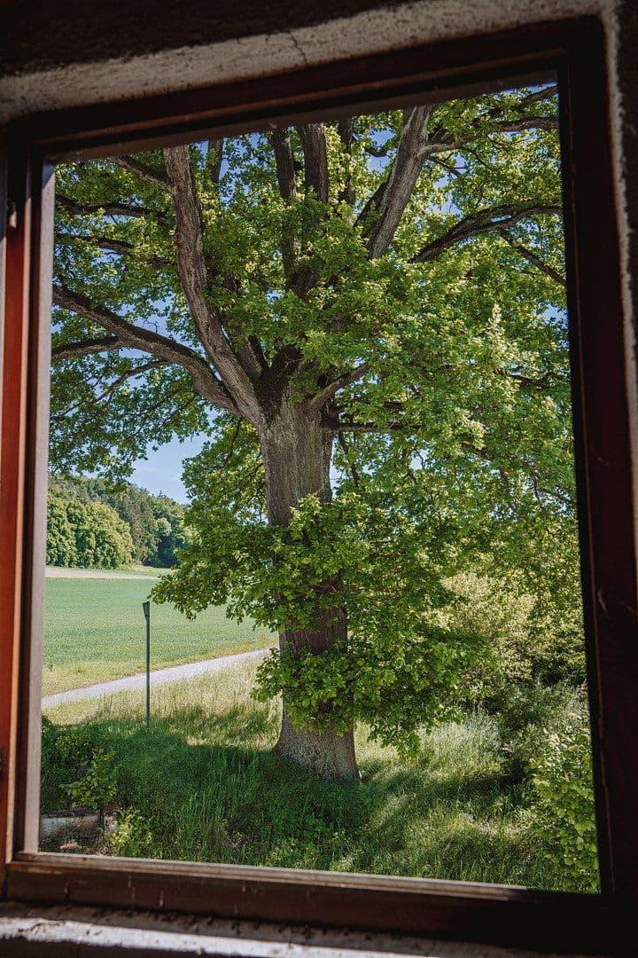 Prodej domu 333 m², pozemek 1.053 m², Am Aichbach, Niederaichbach, Bavorsko Prodej domu 333 m², pozemek 1.053 m², Am Aichbach, Niederaichbach, Bavorsko