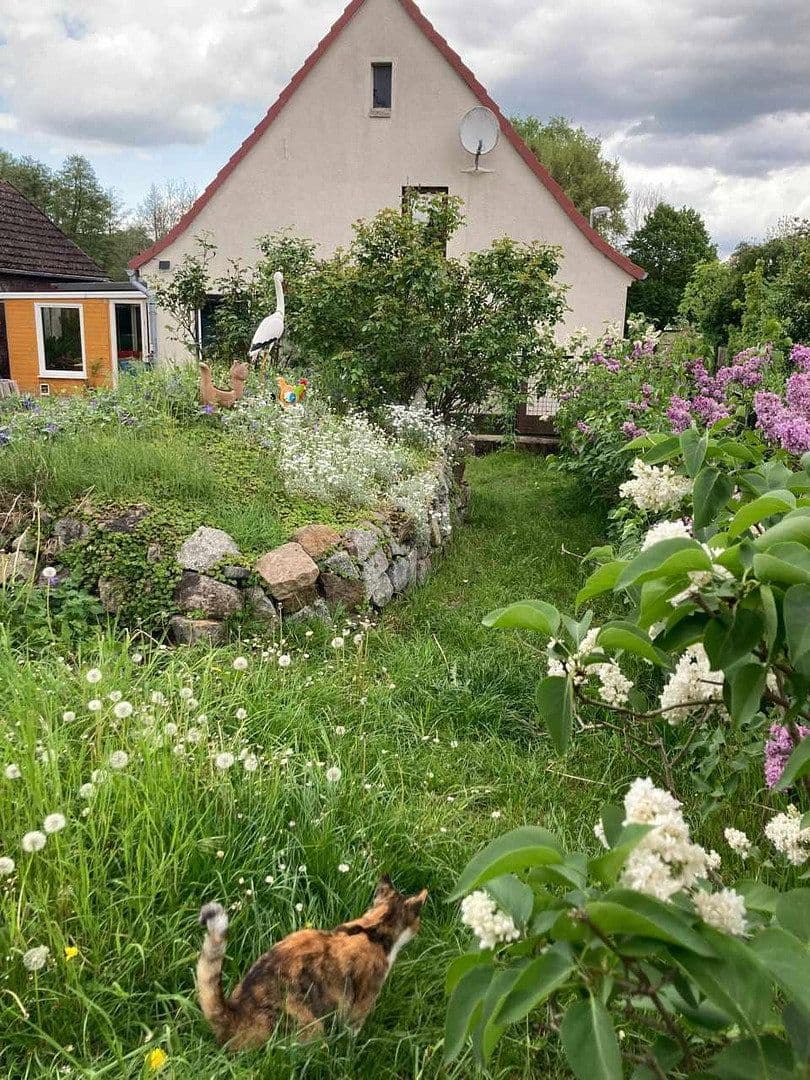 Prodej domu 80 m², pozemek 1.455 m², Altwigshagen, Mecklenburg-Vorpommern Prodej domu 80 m², pozemek 1.455 m², Altwigshagen, Mecklenburg-Vorpommern