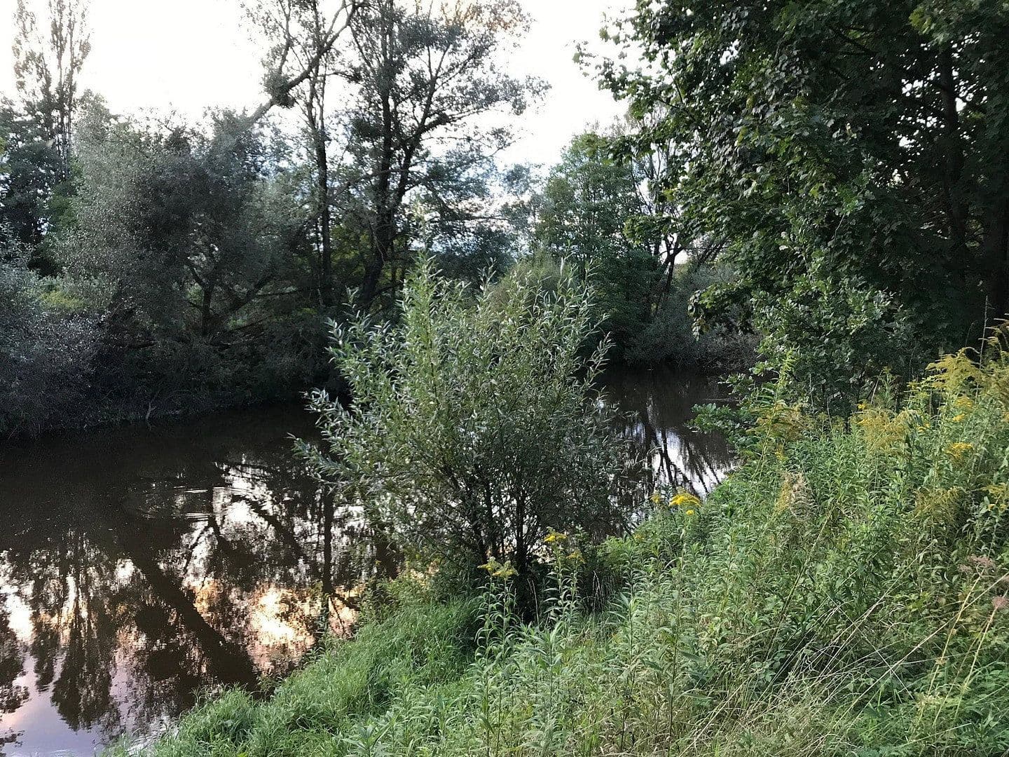 Prodej bytu 4+1 102 m², Sonnenweg 2 / 1, Eriskirch, Bádensko-Württembersko Prodej bytu 4+1 102 m², Sonnenweg 2 / 1, Eriskirch, Bádensko-Württembersko