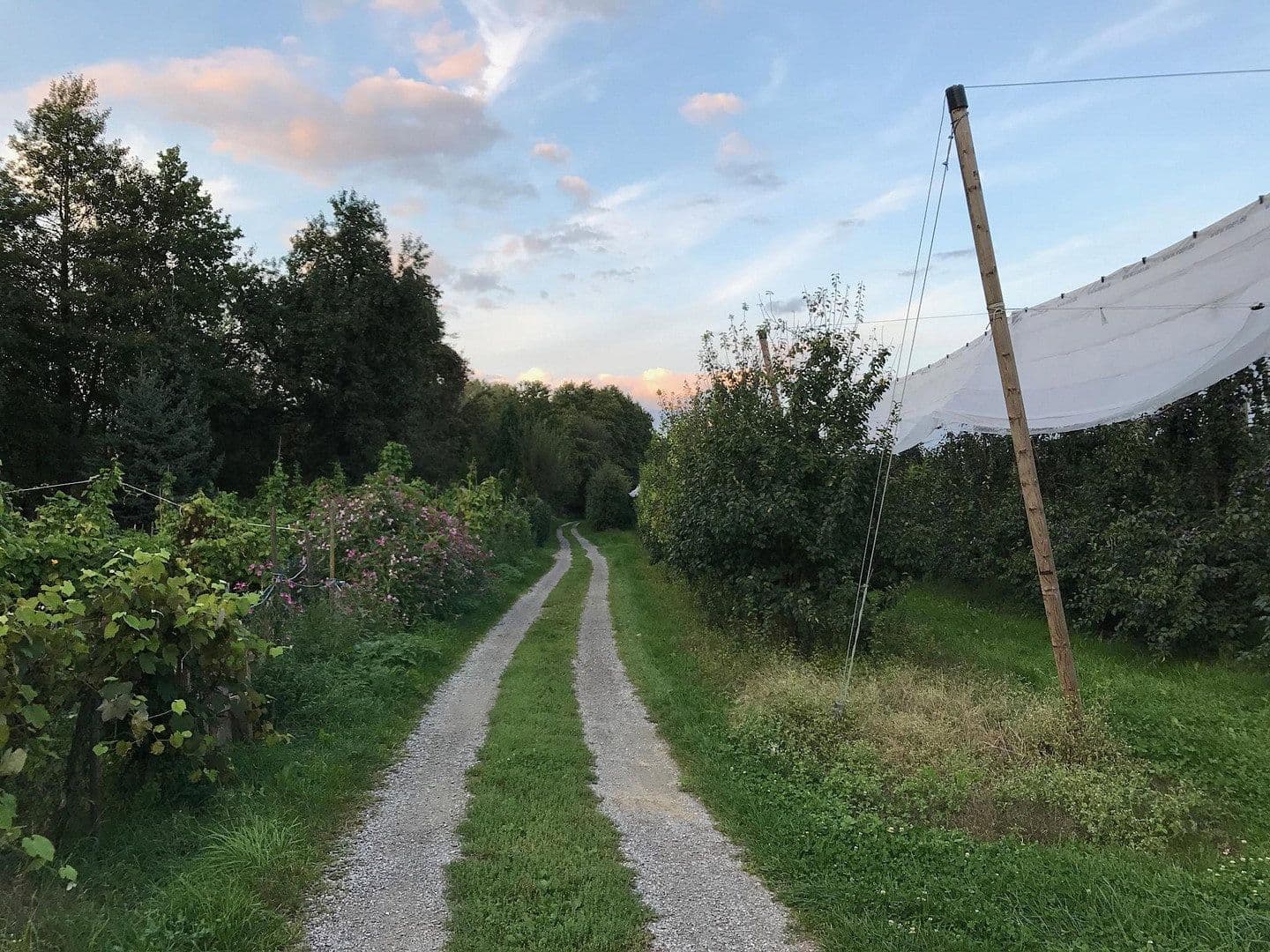 Prodej bytu 4+1 102 m², Sonnenweg 2 / 1, Eriskirch, Bádensko-Württembersko Prodej bytu 4+1 102 m², Sonnenweg 2 / 1, Eriskirch, Bádensko-Württembersko