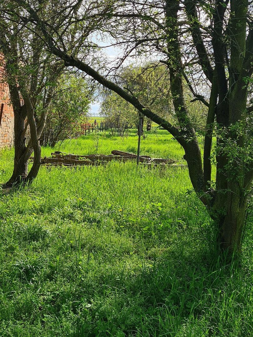 Prodej pozemku 1.900 m², Pobziger Hauptstraße 25, Nienburg (Saale), Sasko-Anhaltsko Prodej pozemku 1.900 m², Pobziger Hauptstraße 25, Nienburg (Saale), Sasko-Anhaltsko