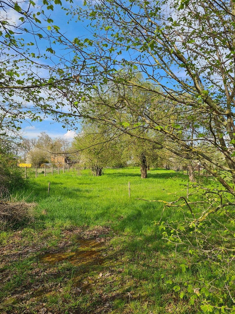 Prodej pozemku 1.900 m², Pobziger Hauptstraße 25, Nienburg (Saale), Sasko-Anhaltsko Prodej pozemku 1.900 m², Pobziger Hauptstraße 25, Nienburg (Saale), Sasko-Anhaltsko