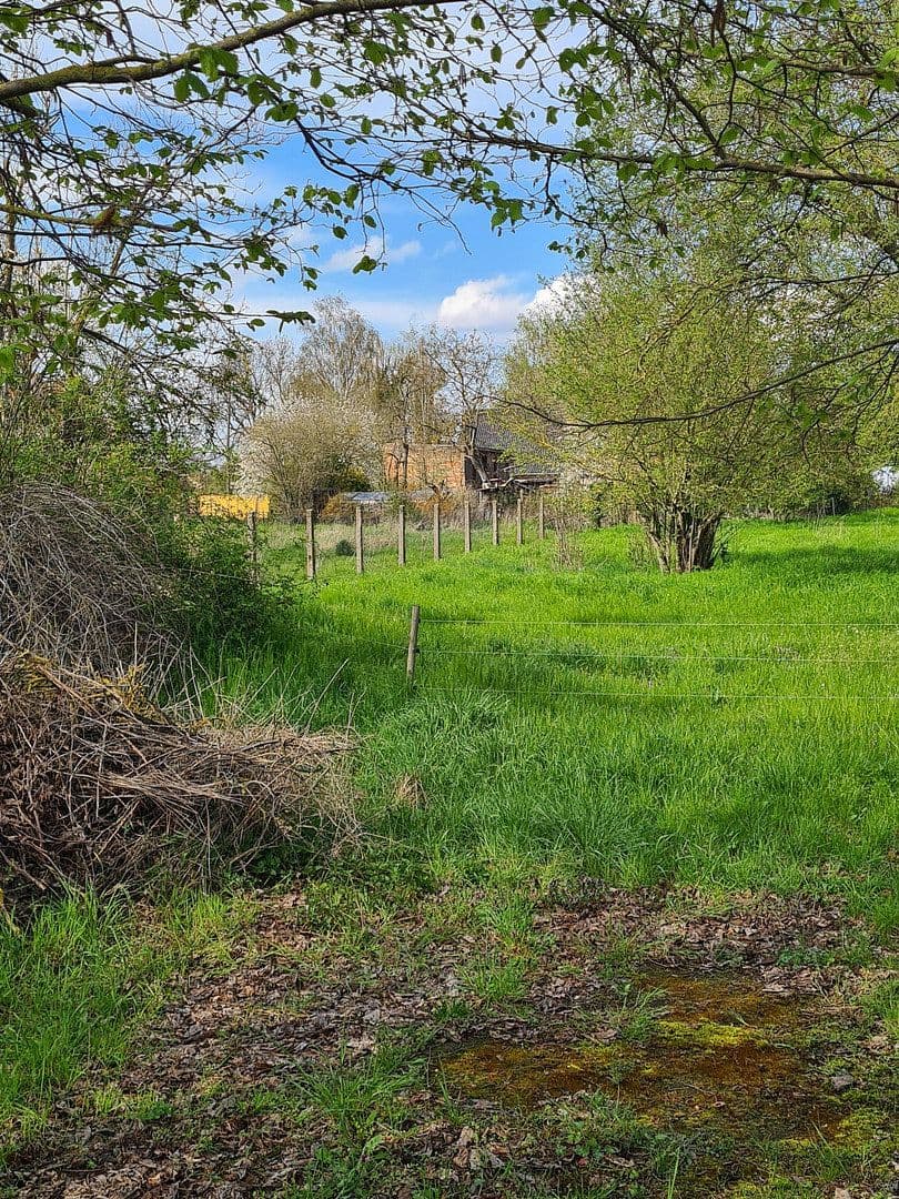 Prodej pozemku 1.900 m², Pobziger Hauptstraße 25, Nienburg (Saale), Sasko-Anhaltsko Prodej pozemku 1.900 m², Pobziger Hauptstraße 25, Nienburg (Saale), Sasko-Anhaltsko