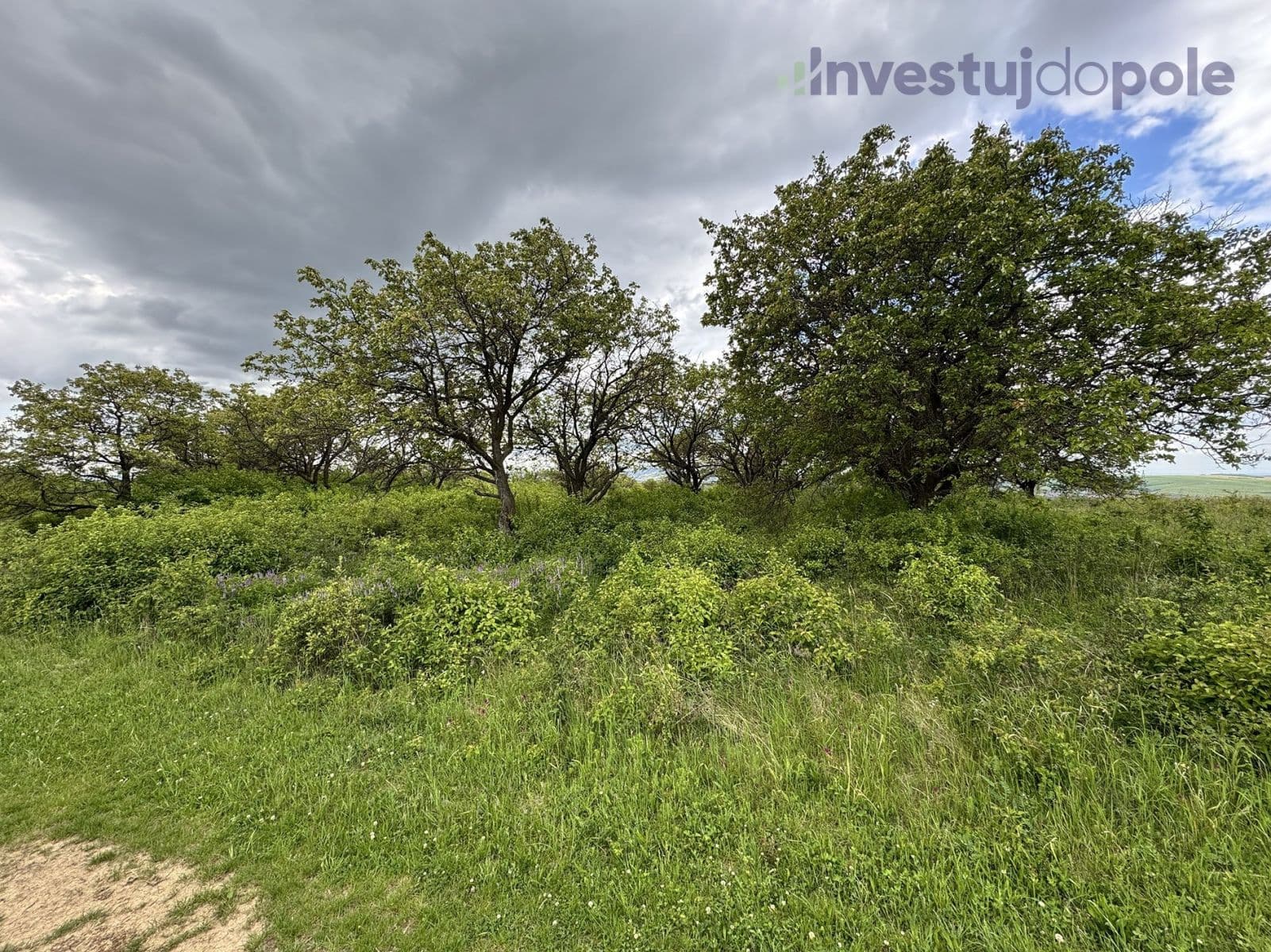 Prodej pozemku 14.274 m², Hustopeče, Jihomoravský kraj Prodej pozemku 14.274 m², Hustopeče, Jihomoravský kraj