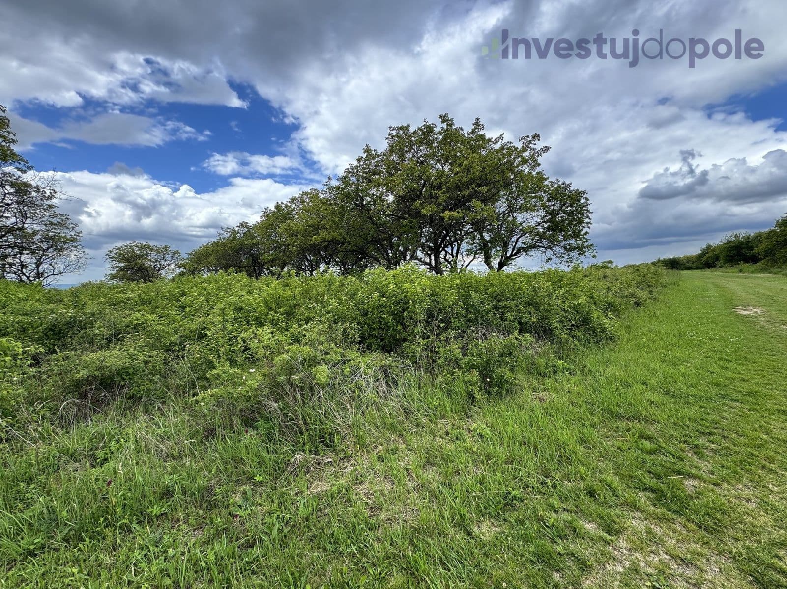 Prodej pozemku 14.274 m², Hustopeče, Jihomoravský kraj Prodej pozemku 14.274 m², Hustopeče, Jihomoravský kraj