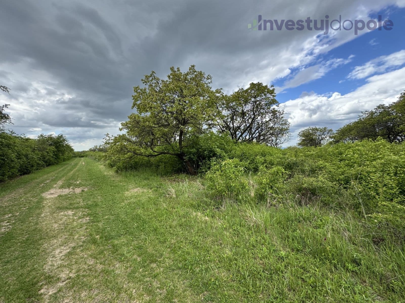 Prodej pozemku 14.274 m², Hustopeče, Jihomoravský kraj Prodej pozemku 14.274 m², Hustopeče, Jihomoravský kraj