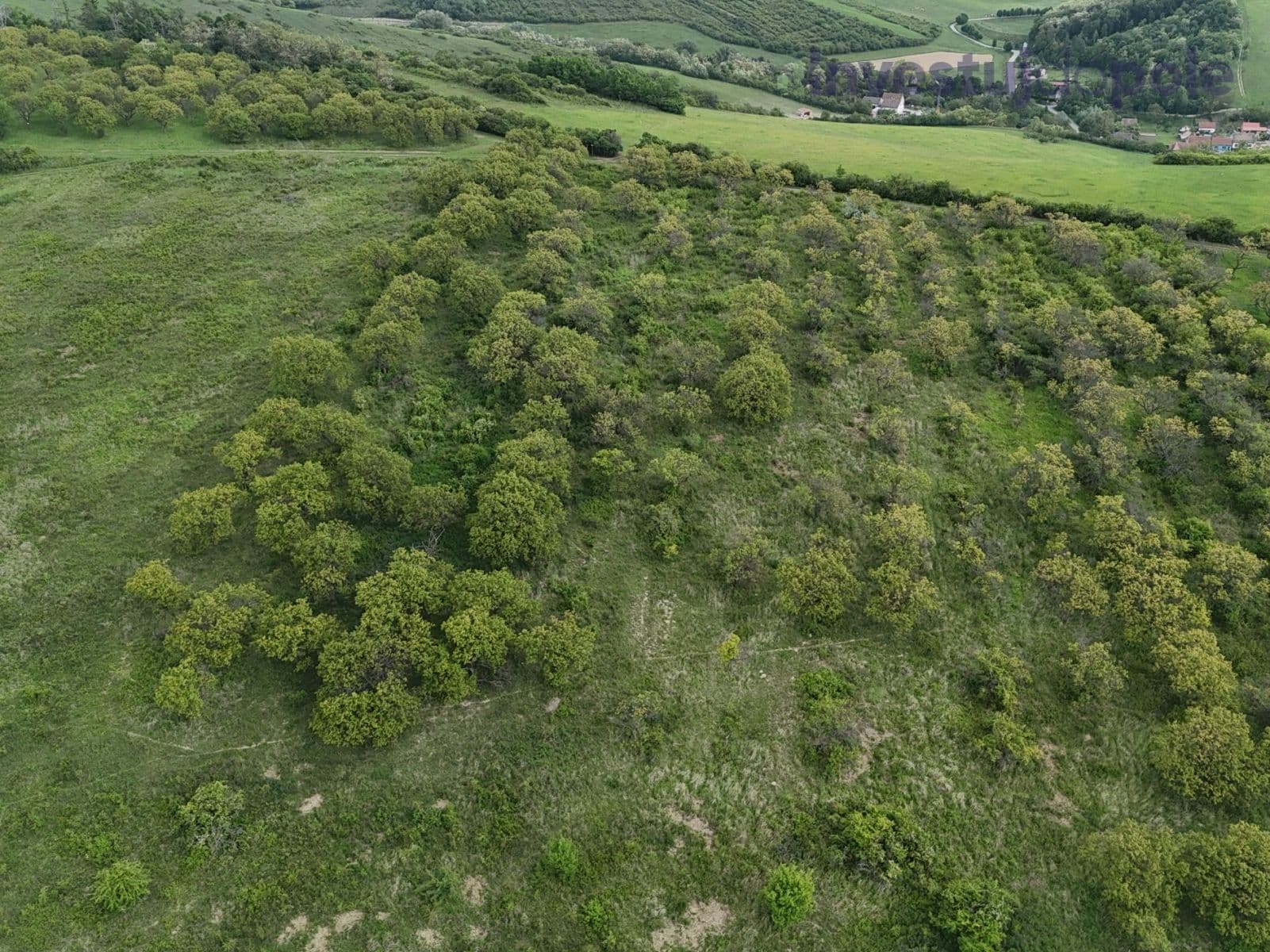 Prodej pozemku 14.274 m², Hustopeče, Jihomoravský kraj Prodej pozemku 14.274 m², Hustopeče, Jihomoravský kraj