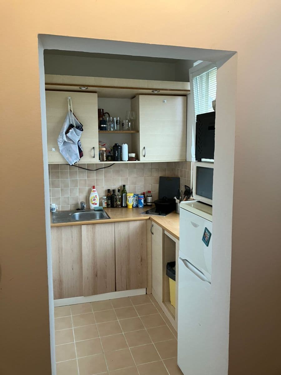 Pronájem bytu 1+kk 32 m², Benkova, Praha, Praha Pronájem bytu 1+kk 32 m², Benkova, Praha, Praha