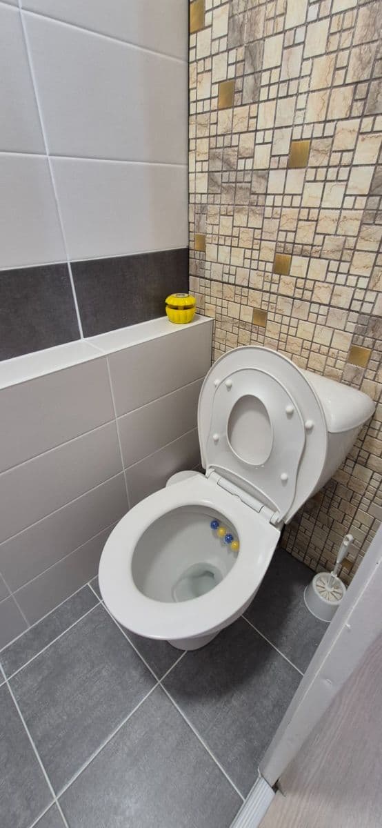 Pronájem bytu 3+1 72 m², Libušina, Bechyně, Jihočeský kraj Pronájem bytu 3+1 72 m², Libušina, Bechyně, Jihočeský kraj