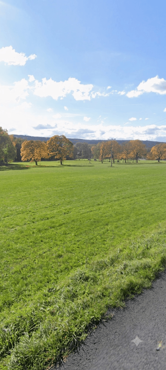 Prodej pozemku 3.613 m², Jindřichovice pod Smrkem, Liberecký kraj Prodej pozemku 3.613 m², Jindřichovice pod Smrkem, Liberecký kraj