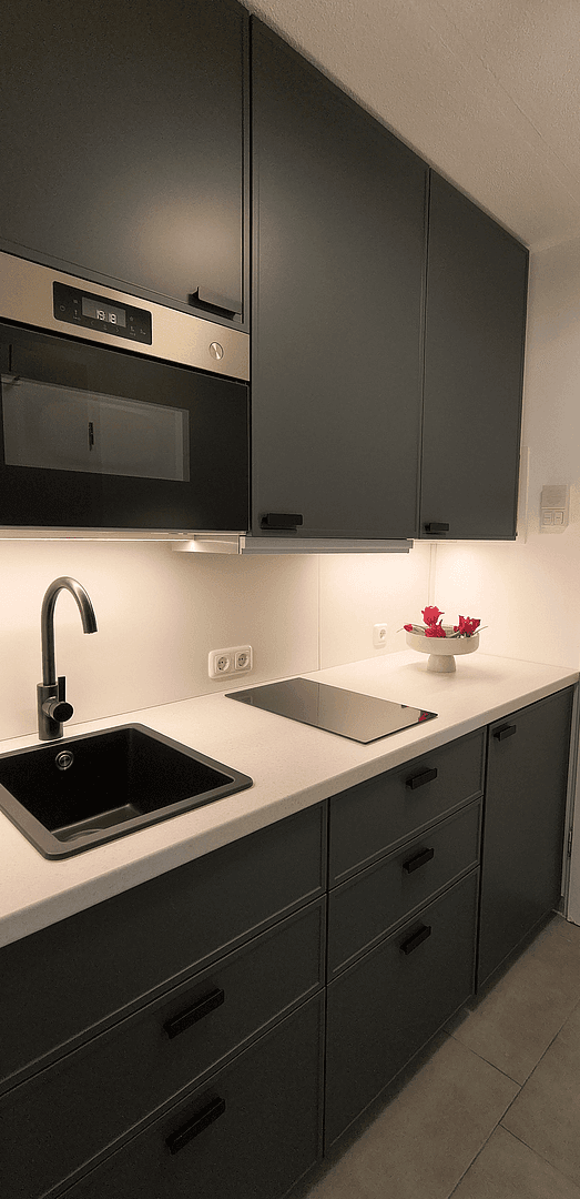 Pronájem bytu 1+1 21 m², Regensburg, Bavorsko Pronájem bytu 1+1 21 m², Regensburg, Bavorsko