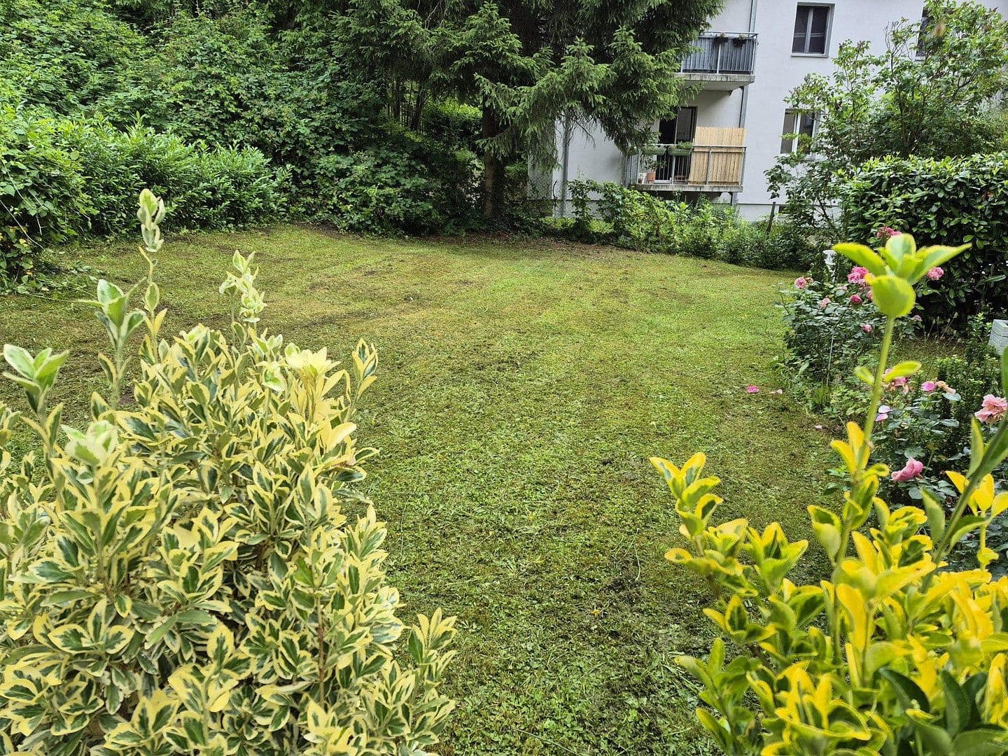 Pronájem bytu 3+1 80 m², Dresden, Sasko Pronájem bytu 3+1 80 m², Dresden, Sasko