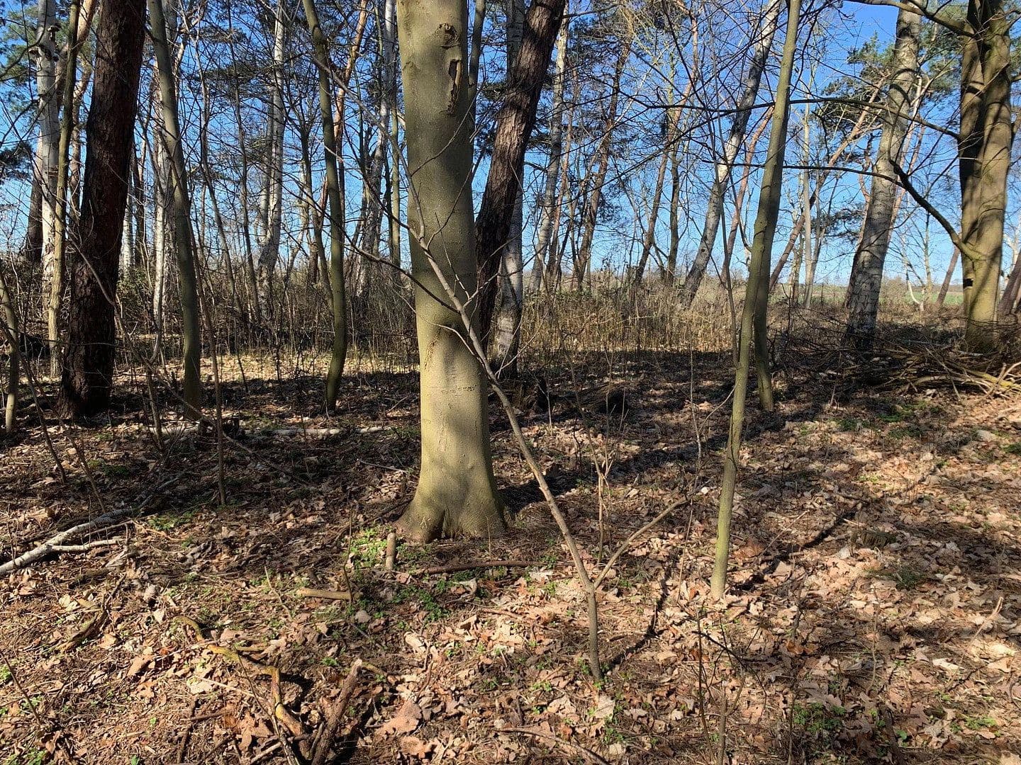 Prodej domu 285 m², pozemek 7.123 m², Dassow, Mecklenburg-Vorpommern Prodej domu 285 m², pozemek 7.123 m², Dassow, Mecklenburg-Vorpommern