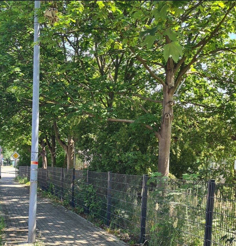 Prodej pozemku 2.220 m², Fichtestraße 34, Genthin, Sasko-Anhaltsko Prodej pozemku 2.220 m², Fichtestraße 34, Genthin, Sasko-Anhaltsko
