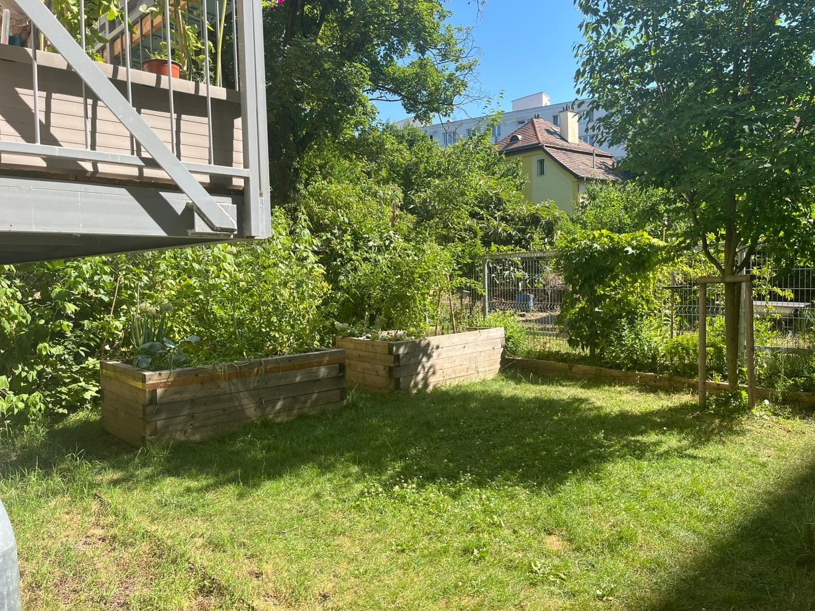 Pronájem bytu 2+1 70 m², Zborovská, Brno, Jihomoravský kraj Pronájem bytu 2+1 70 m², Zborovská, Brno, Jihomoravský kraj