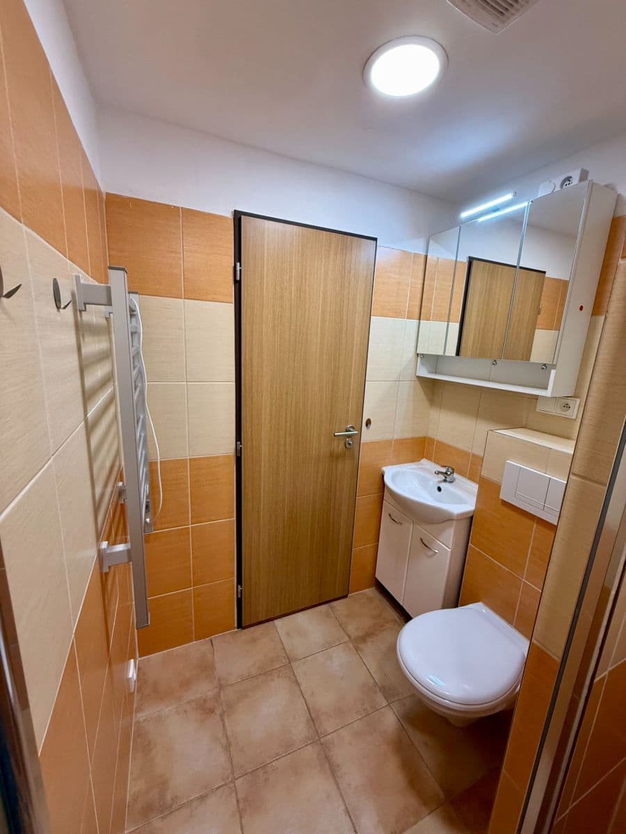 Pronájem bytu 1+1 38 m², Závodu míru, Karlovy Vary, Karlovarský kraj Pronájem bytu 1+1 38 m², Závodu míru, Karlovy Vary, Karlovarský kraj