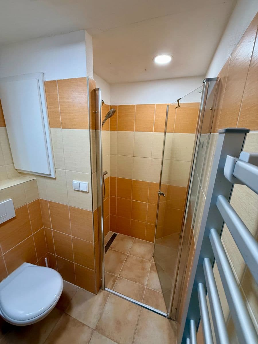 Pronájem bytu 1+1 38 m², Závodu míru, Karlovy Vary, Karlovarský kraj Pronájem bytu 1+1 38 m², Závodu míru, Karlovy Vary, Karlovarský kraj
