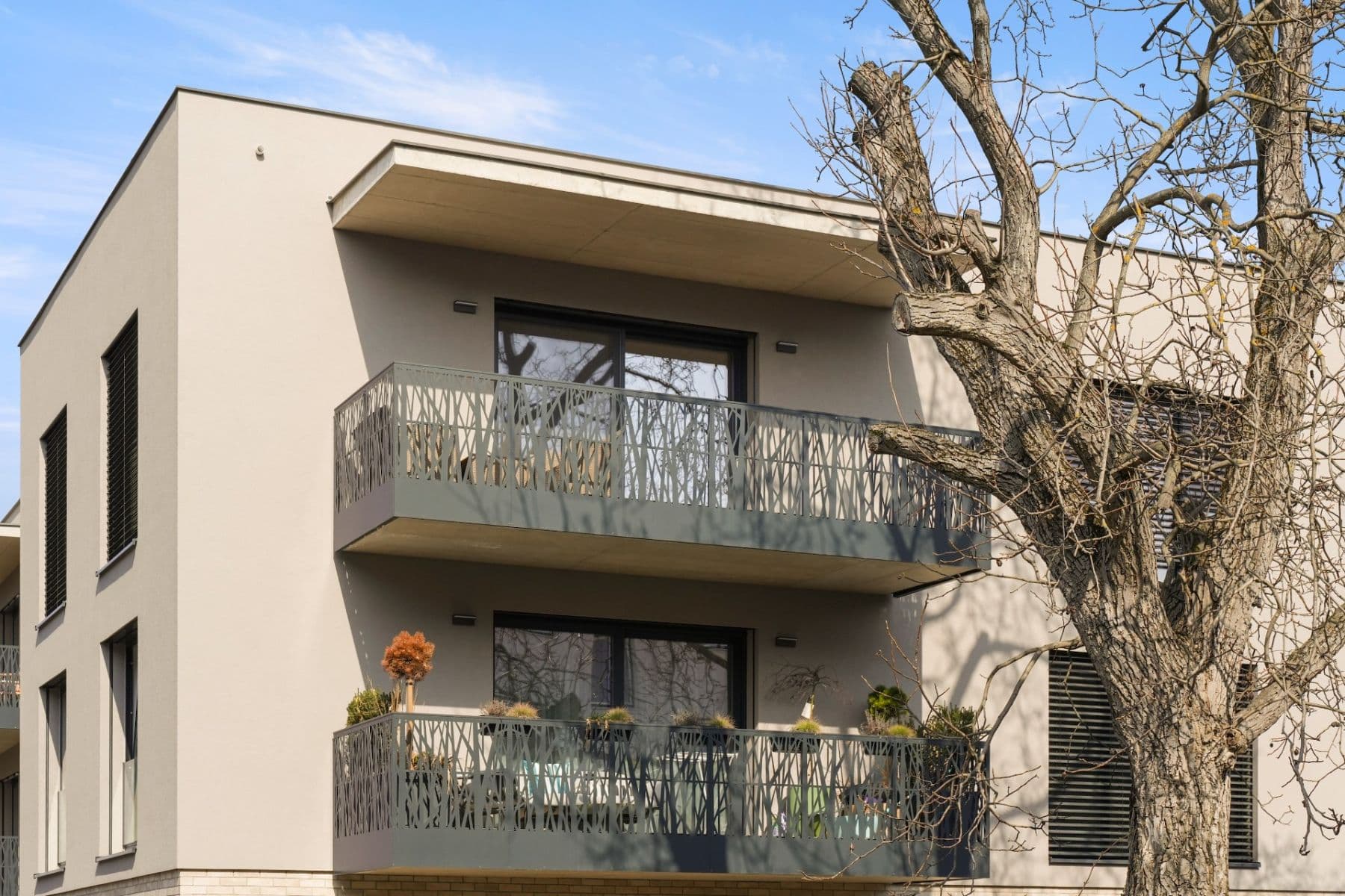Prodej bytu 2+kk 65 m², Jílkova, Brno, Jihomoravský kraj Prodej bytu 2+kk 65 m², Jílkova, Brno, Jihomoravský kraj