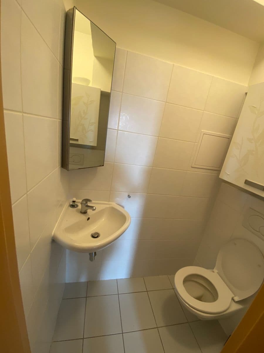 Pronájem bytu 4+kk 102 m², Národních mučedníků, Hradec Králové, Královéhradecký kraj Pronájem bytu 4+kk 102 m², Národních mučedníků, Hradec Králové, Královéhradecký kraj