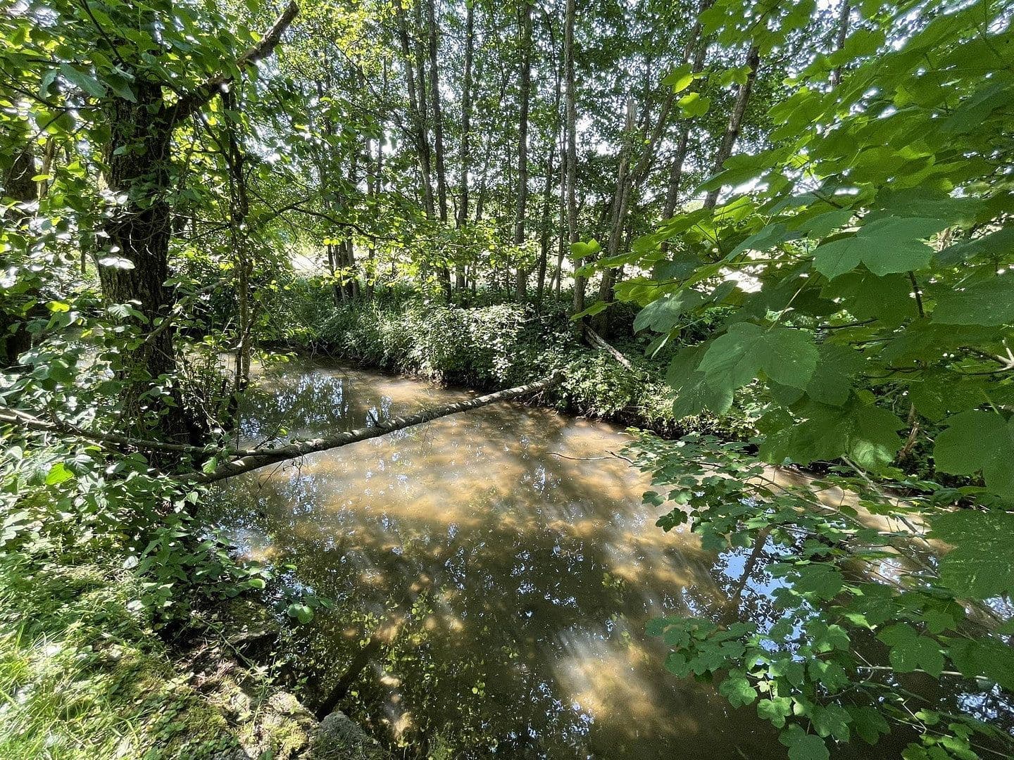 Prodej domu 160 m², pozemek 7.296 m², Gerolstein, Porýní-Falc Prodej domu 160 m², pozemek 7.296 m², Gerolstein, Porýní-Falc